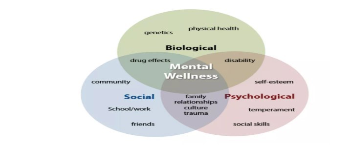 Mental Health Causes
