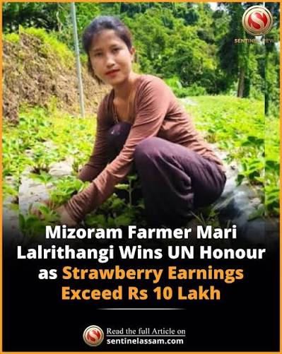 mizoram-strawberry-award.jpeg.upsc