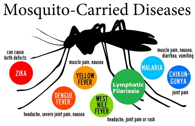 mosquito disease cause death