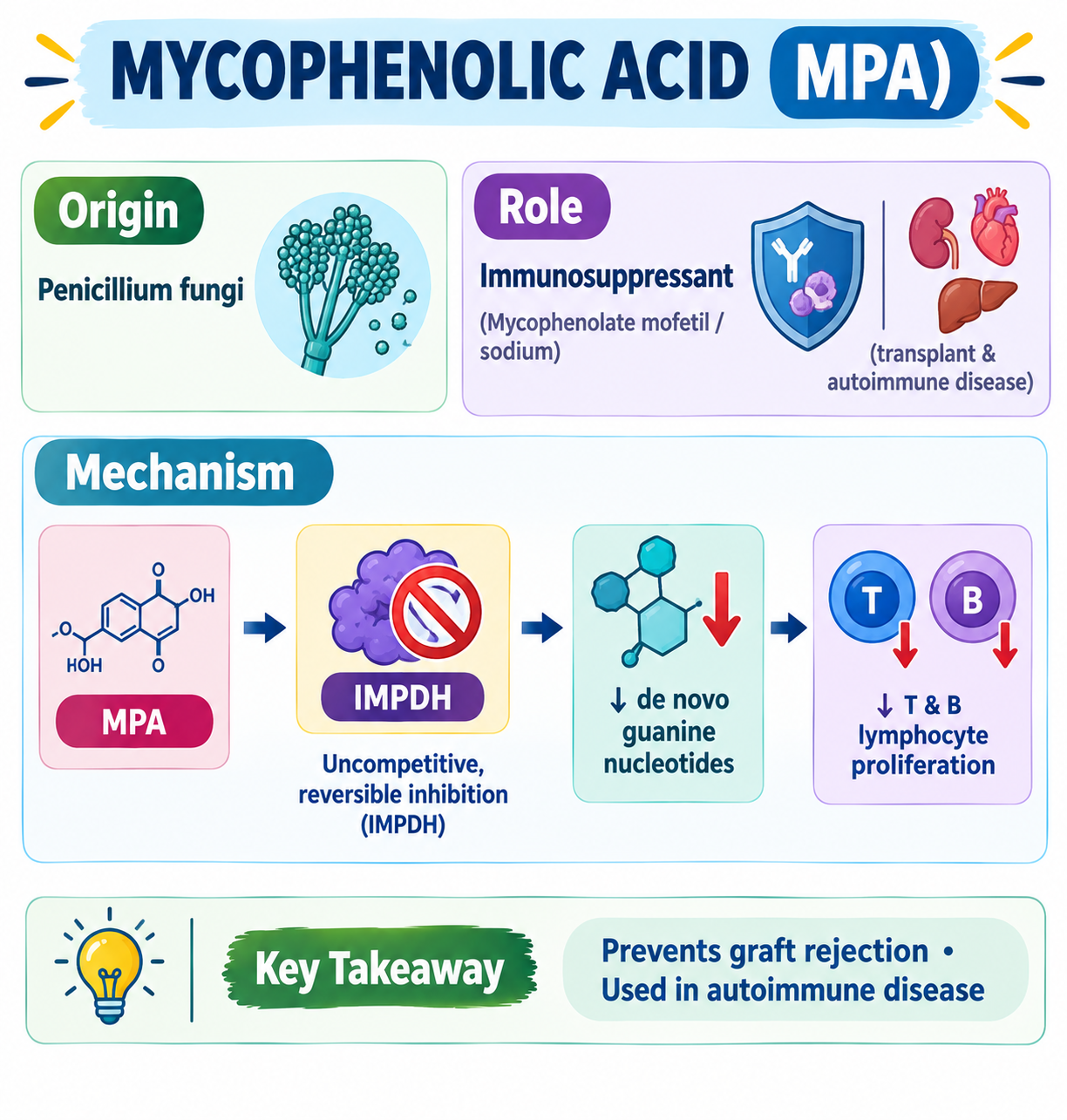 Mycophenolic Acid