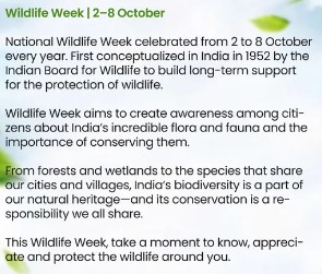 National Wildlife Week 2026