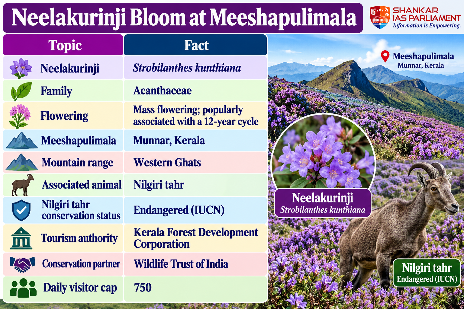 neelakurinji-bloom-at-meeshapulimala.png