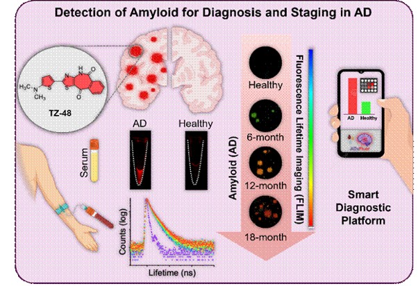 Smartphone-Enabled Alzheimer’s Diagnostic Platform