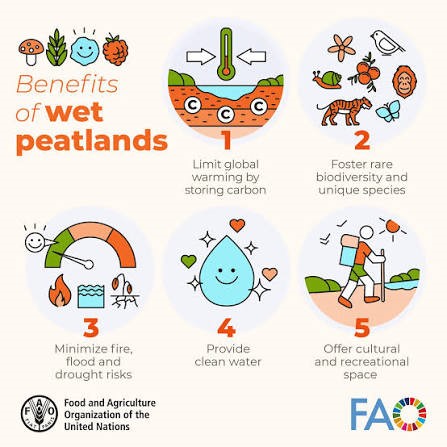 peatlands