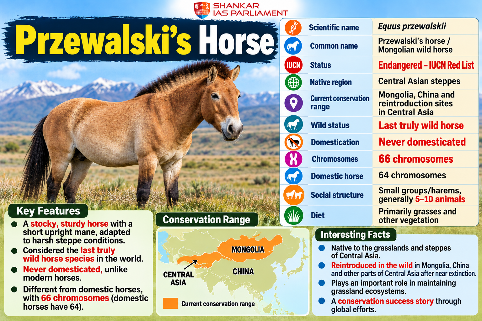 horse reintroduction in krykstnan