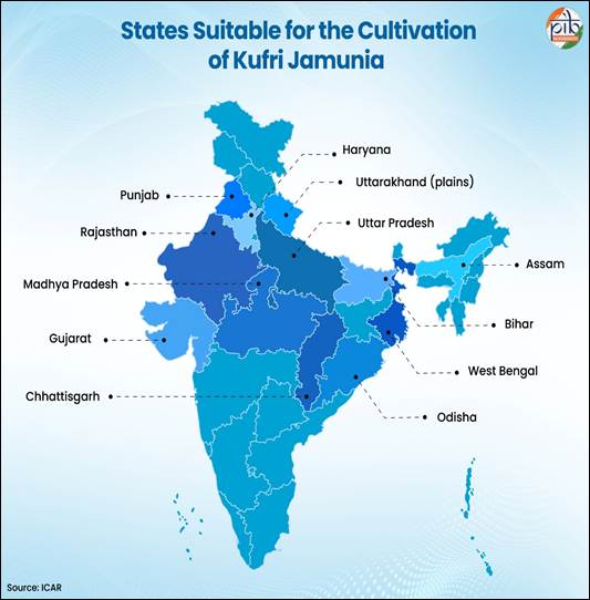 purple-potato-states.jpg.upsc