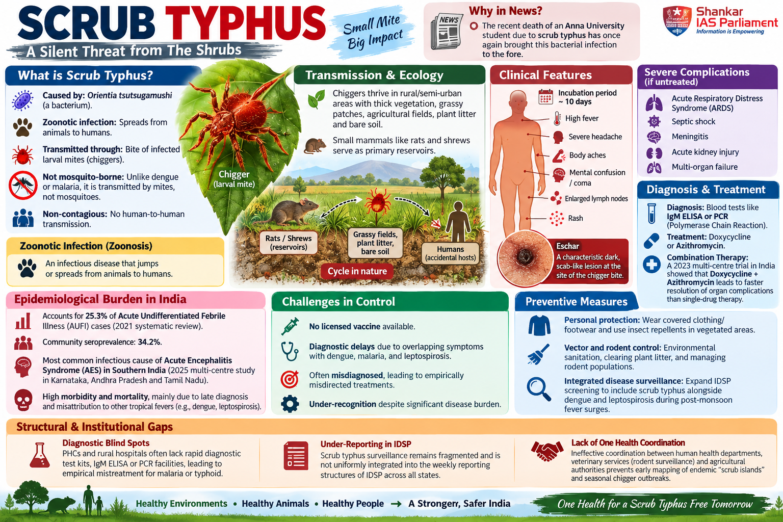 Scrub Typhus