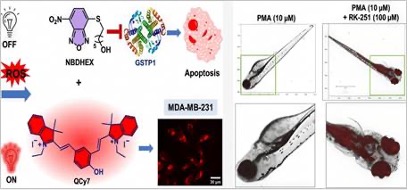 Smart Cancer Drug – RK‑251
