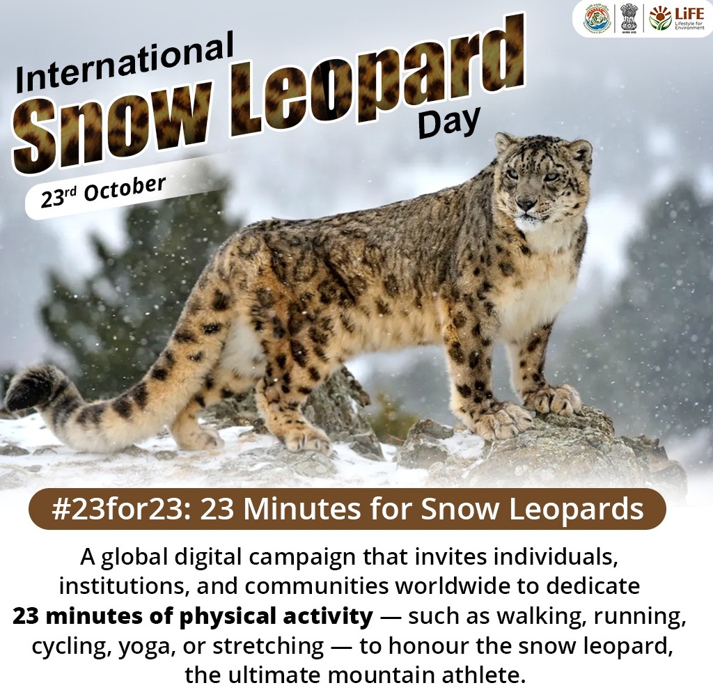 snow leopard international day