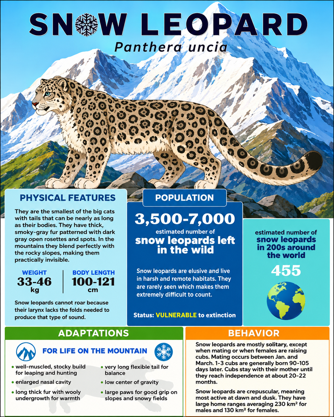 Snow Leopard Details