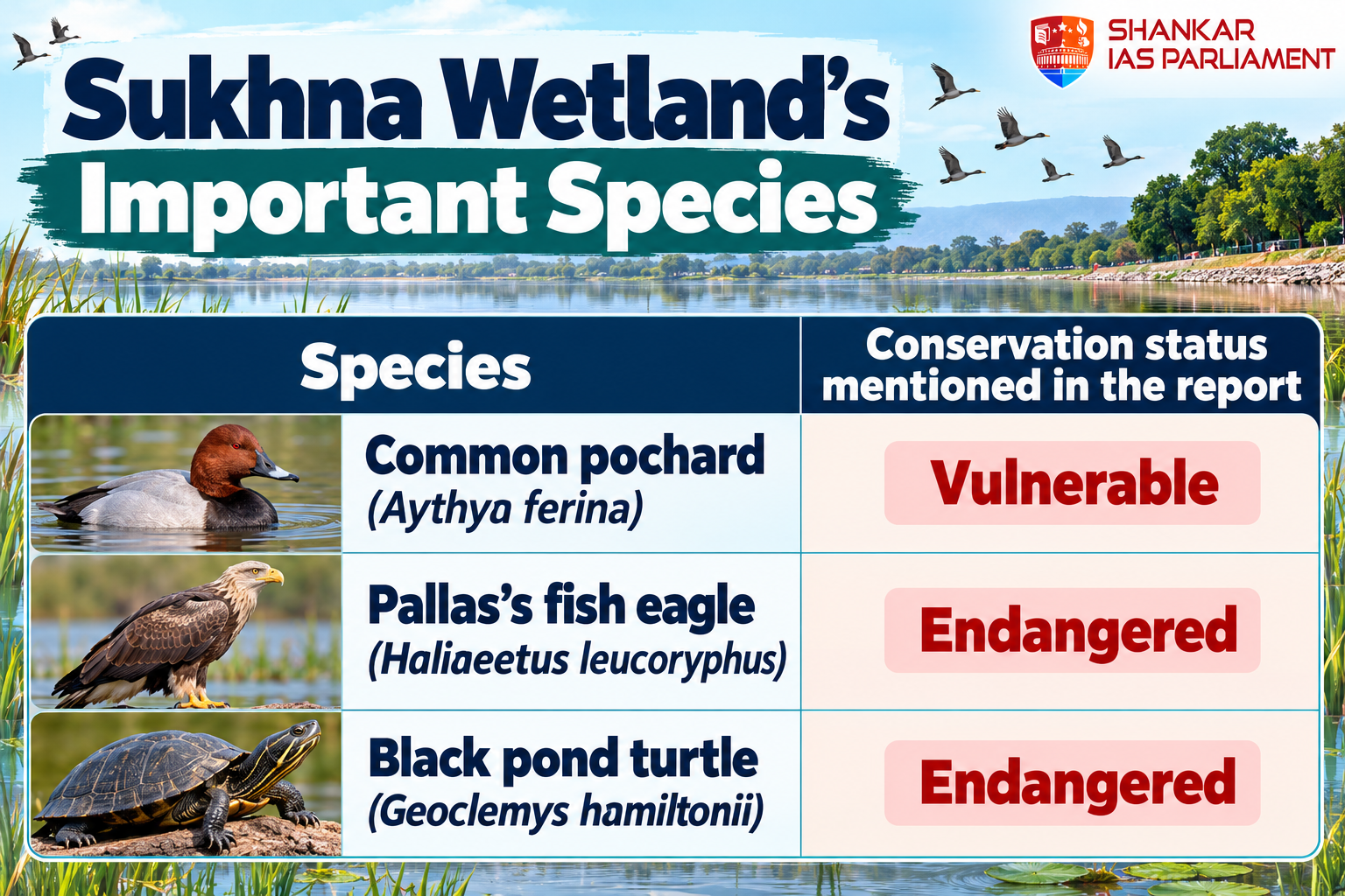 sukhna-wetlands-important-species.png
