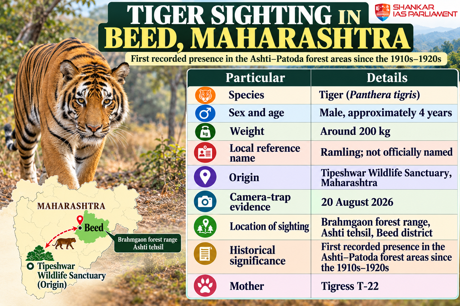 tiger-sighting-in-beed-maharashtra.png