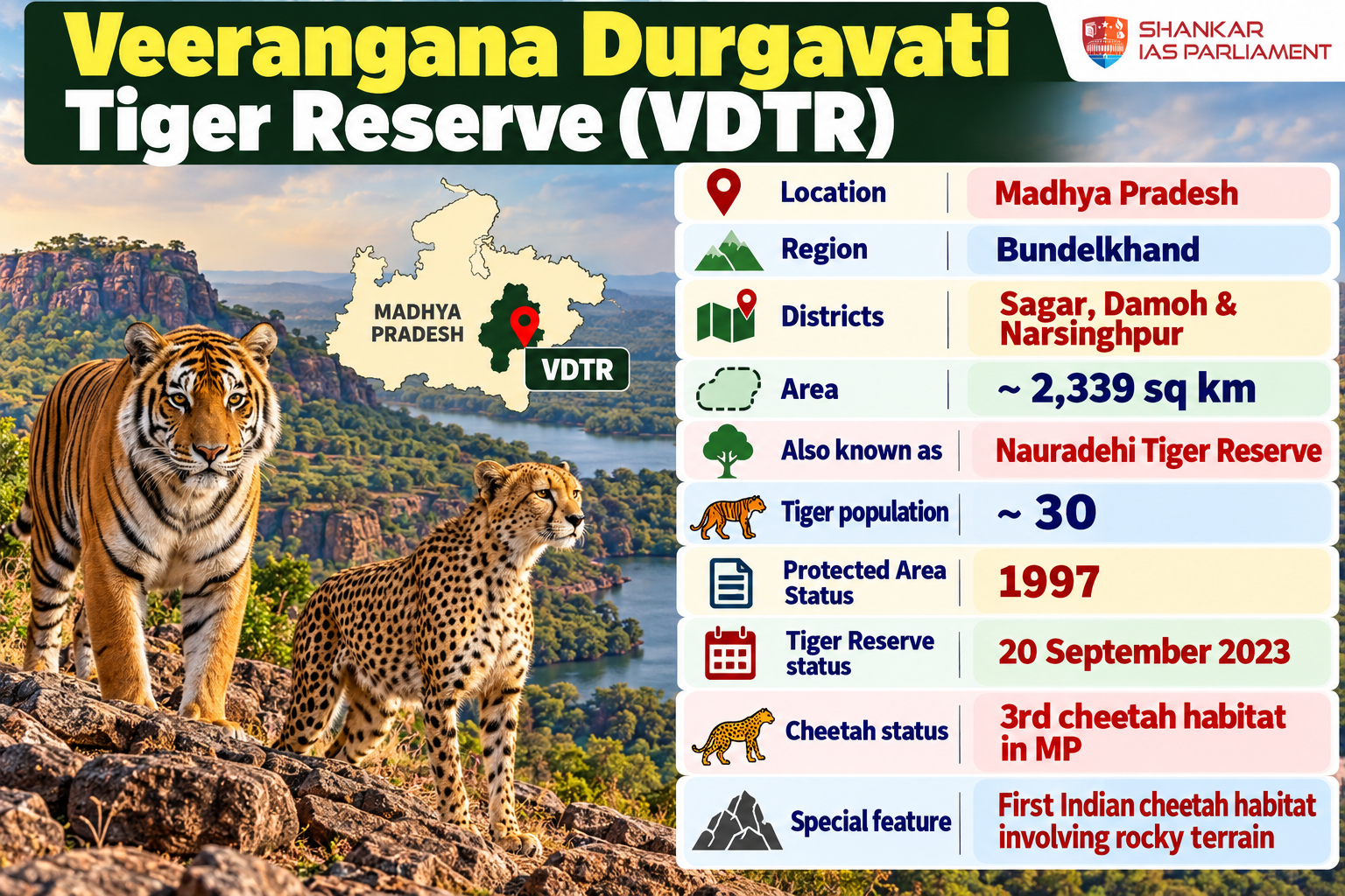 Cheetahs in Veerangana Durgavati Tiger Reserve