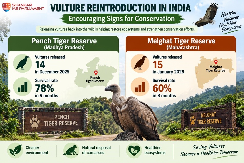 Vulture reintroduction.upsc