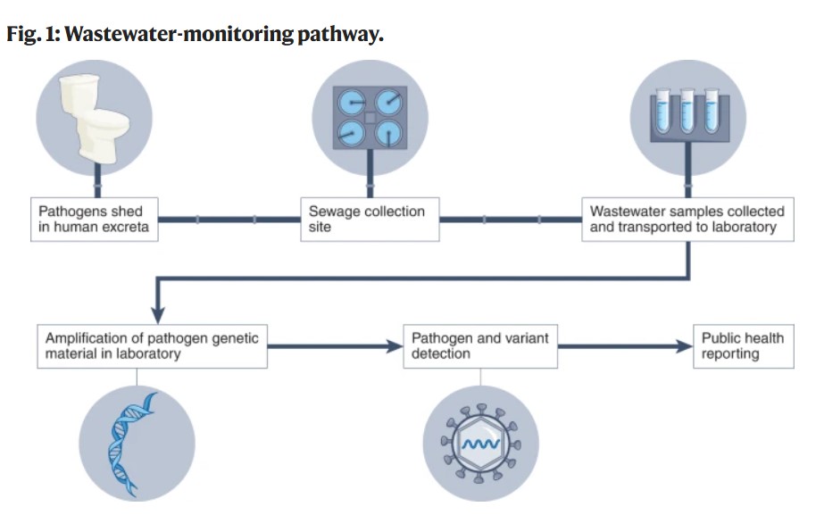 Waste water surveillance 1