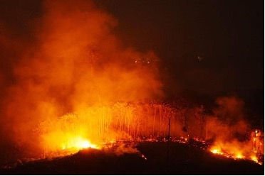 Wildfire Crisis in Kalimantan