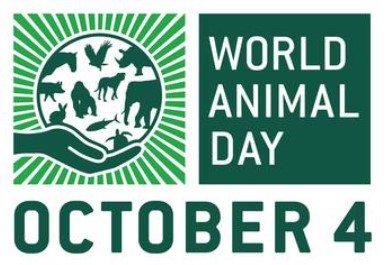 World Animal Day
