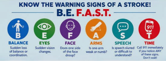 World Stroke Day 2026