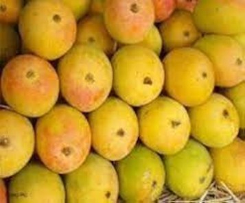 Zardalu mango